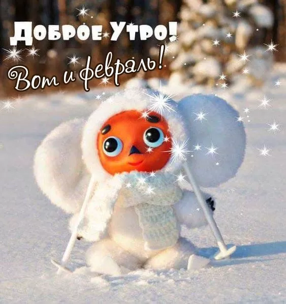 Картинки Доброго утра февраля.