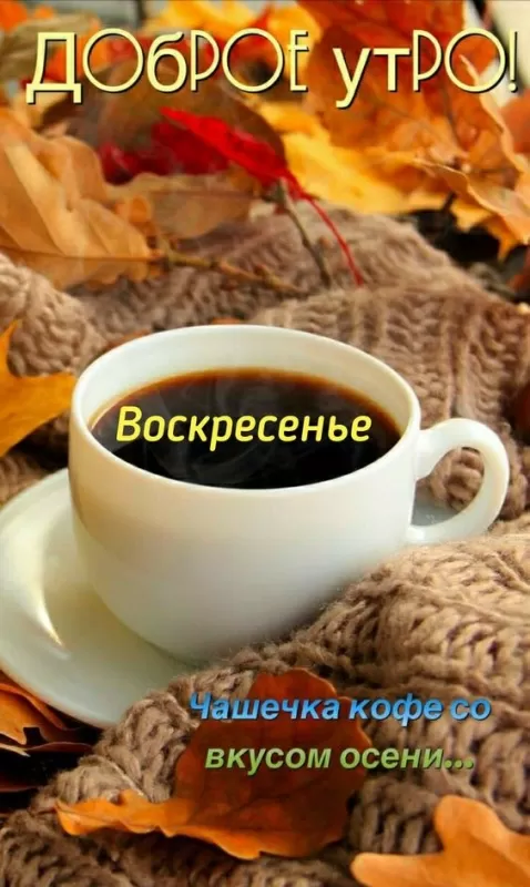 Картинки Доброе утро воскресенья. Красивые картинки Доброе утро воскресенье 