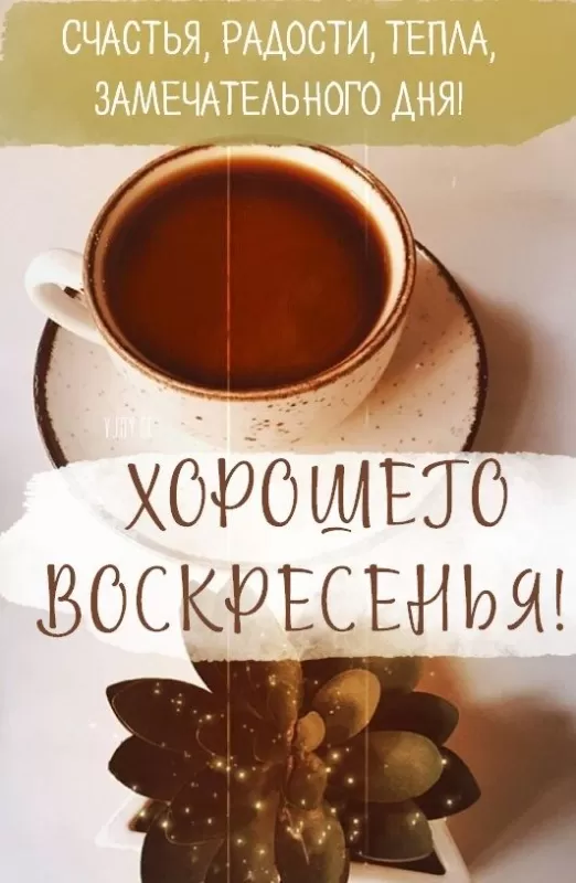 Картинки Доброе утро воскресенья. Красивые картинки Доброе утро воскресенье 
