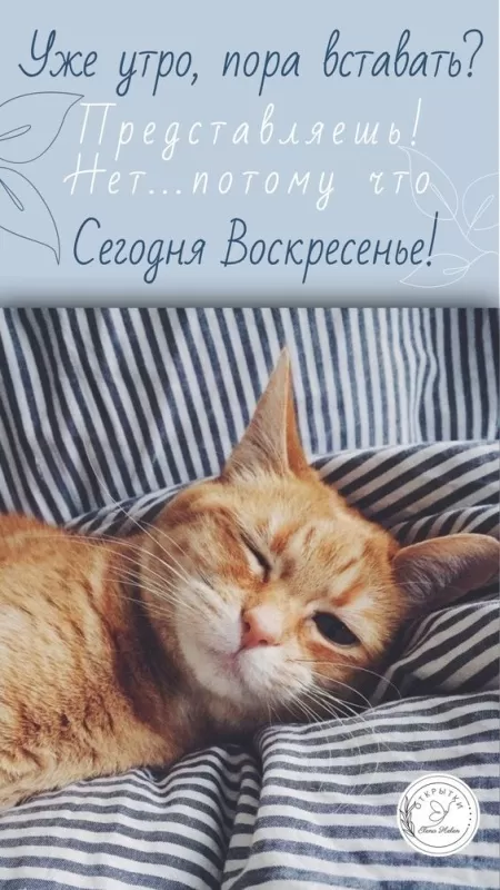 Картинки Доброе утро воскресенья. Красивые картинки Доброе утро воскресенье 