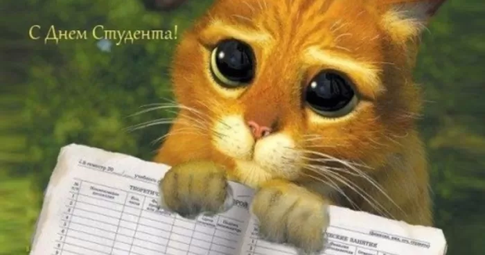 Прикольные Картинки с Днем Студента . Красивые картинки с Днем Студента