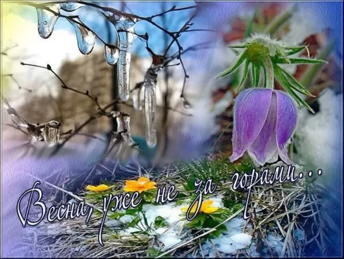 Картинки "Скоро весна" (80 штук). Скоро весна - картинки с пожеланиями