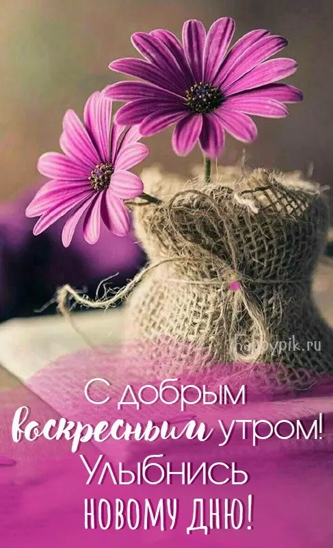 Картинки Доброе утро воскресенья. Красивые картинки Доброе утро воскресенье 
