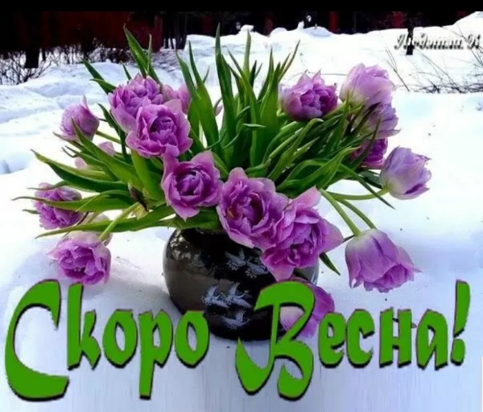Картинки "Скоро весна" (80 штук). Скоро весна - картинки с пожеланиями