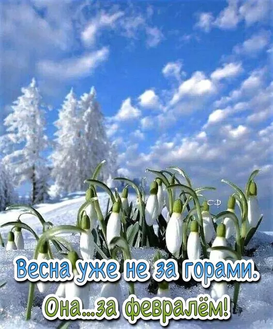 Картинки "Скоро весна" (80 штук). Скоро весна - картинки с пожеланиями