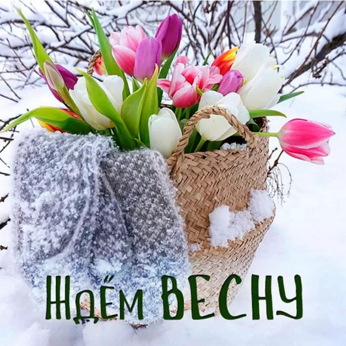 Картинки "Скоро весна" (80 штук). Скоро весна - картинки с пожеланиями