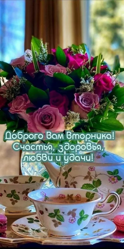 Картинки Доброе утро вторника. Доброе утро вторника - картинки с пожеланиями