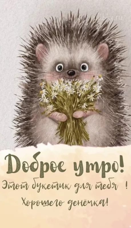 Прикольные и позитивные картинки Доброе утро. Позитивные картинки с Добрым утром