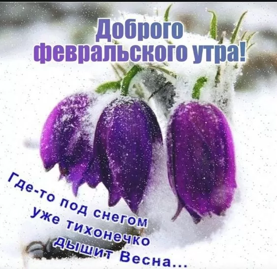 Картинки Доброго утра февраля.