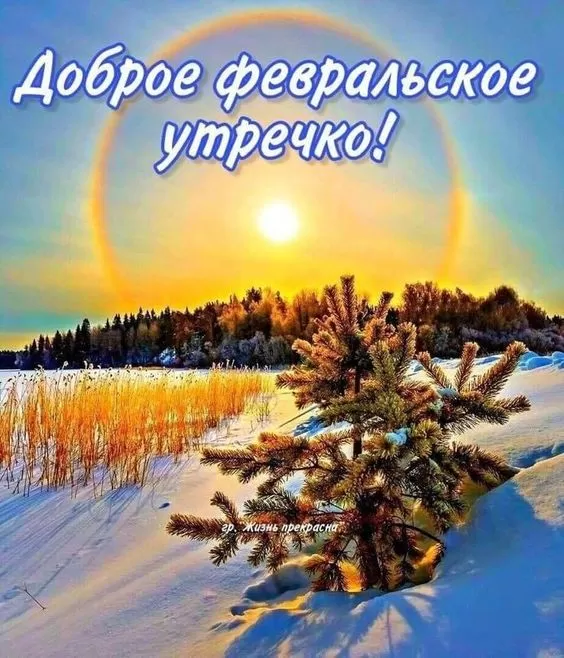 Картинки Доброго утра февраля.