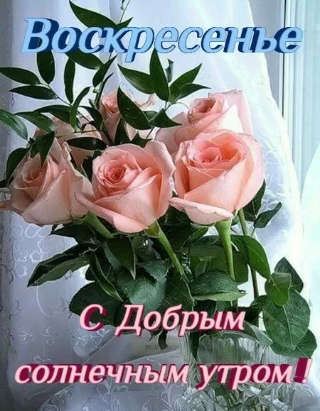 Картинки Доброе утро воскресенья. Красивые картинки Доброе утро воскресенье 