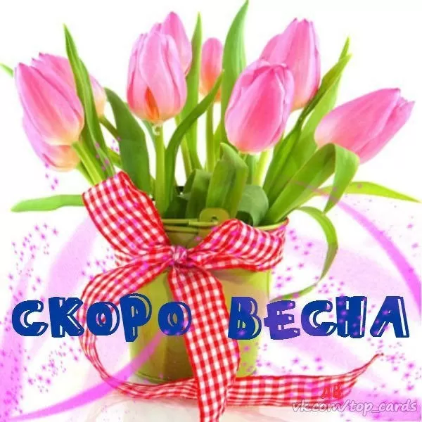 Картинки "Скоро весна" (80 штук). Скоро весна - картинки с пожеланиями