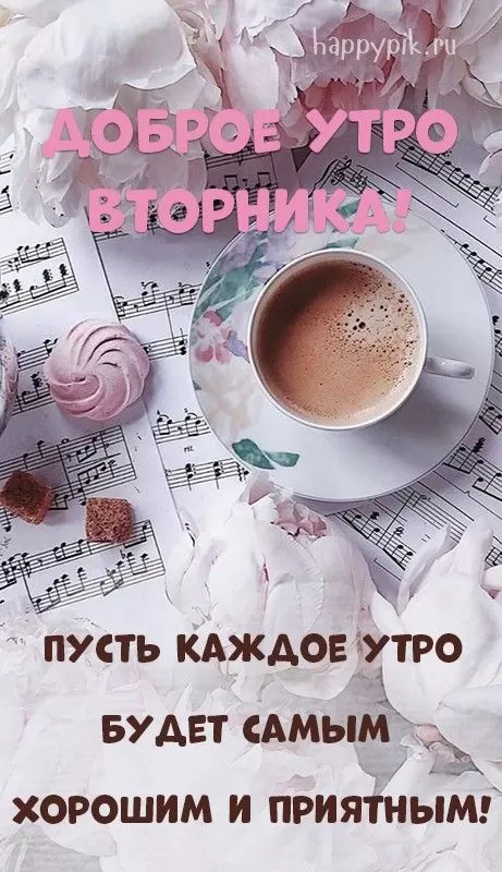 Картинки Доброе утро вторника. Доброе утро вторника - картинки с пожеланиями