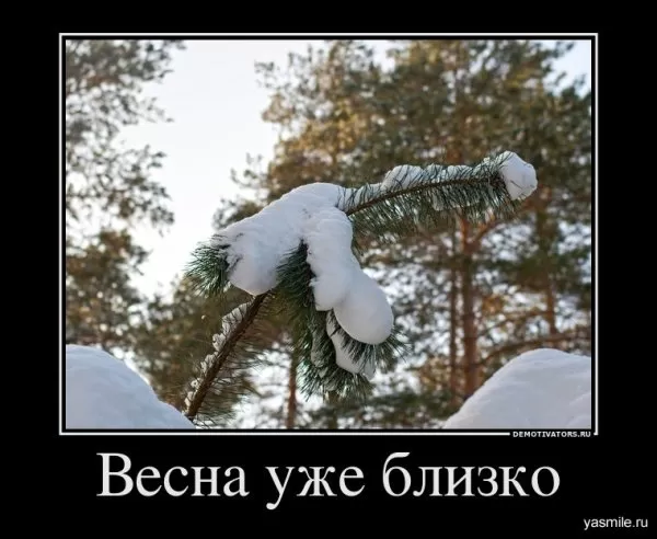 Картинки "Скоро весна" (80 штук). Прикольные картинки "Скоро весна"