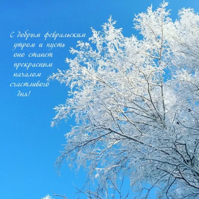Картинки Доброго утра февраля.