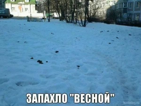 Картинки "Скоро весна" (80 штук). Прикольные картинки "Скоро весна"