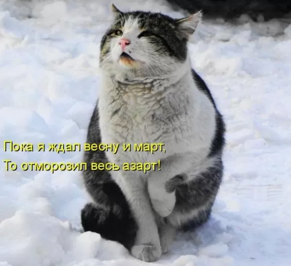 Картинки "Скоро весна" (80 штук). Прикольные картинки "Скоро весна"