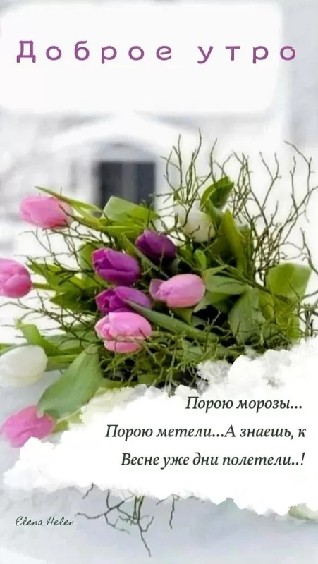 Красивые картинки с Добрым весенним утром. Красивые картинки с Добрым весенним утром 