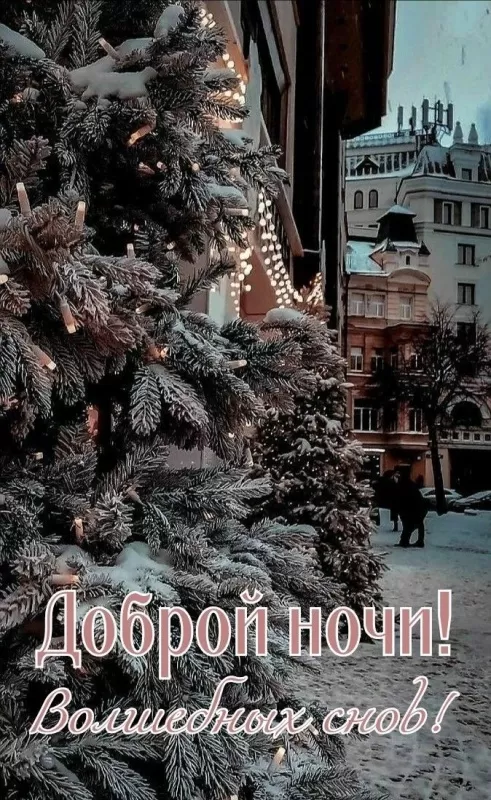 Картинки Сладких снов (красивые и прикольные). Картинки чудесных, сказочных, красивых и сладких снов