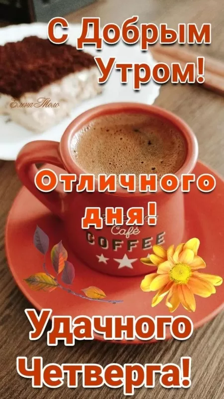 Картинки Доброе утро четверга. Красивые картинки Доброе утро четверг 