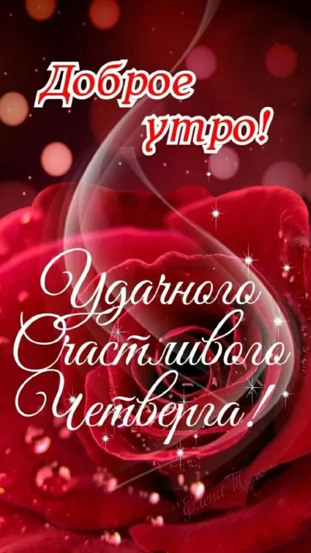 Картинки Доброе утро четверга. Красивые картинки Доброе утро четверг 