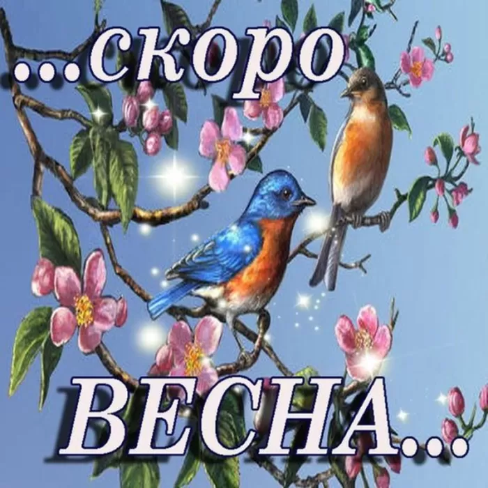Картинки "Скоро весна" (80 штук). Скоро весна - картинки с пожеланиями
