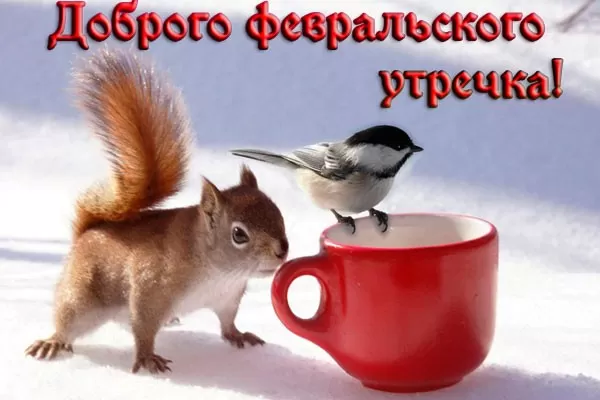 Картинки Доброго утра февраля.