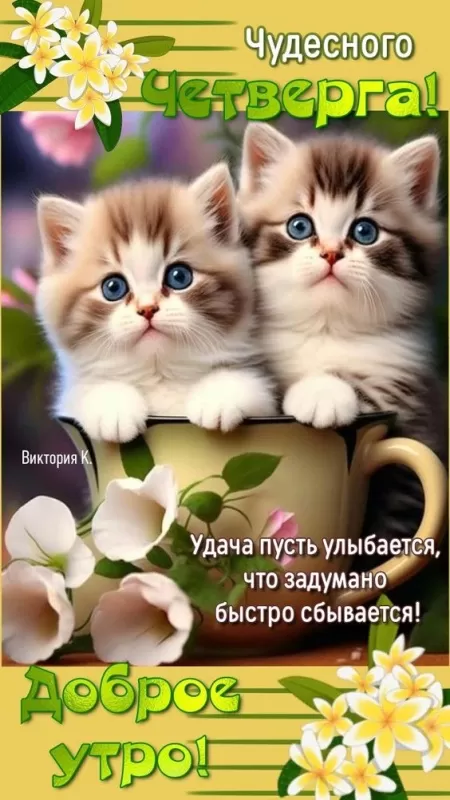Картинки Доброе утро четверга. Красивые картинки Доброе утро четверг 