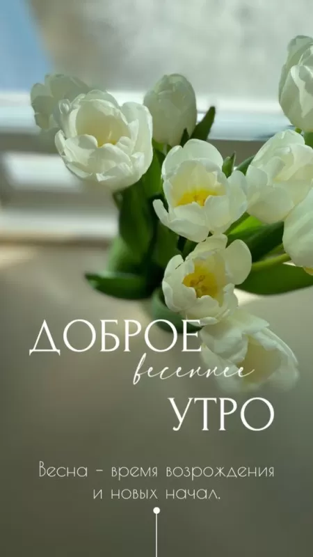 Красивые картинки с Добрым весенним утром. Красивые картинки с Добрым весенним утром 