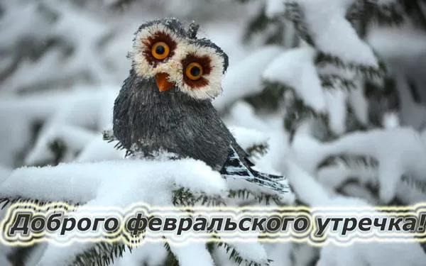 Картинки Доброго утра февраля.