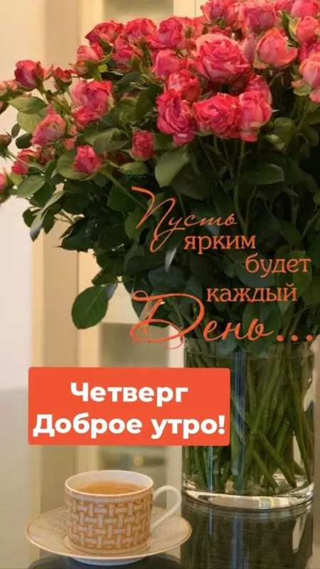 Картинки Доброе утро четверга. Красивые картинки Доброе утро четверг 