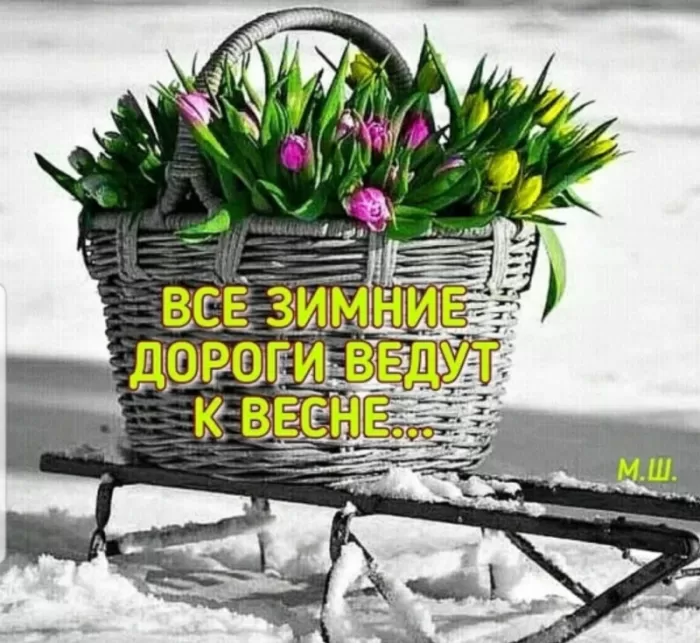 Картинки "Скоро весна" (80 штук). Скоро весна - картинки с пожеланиями