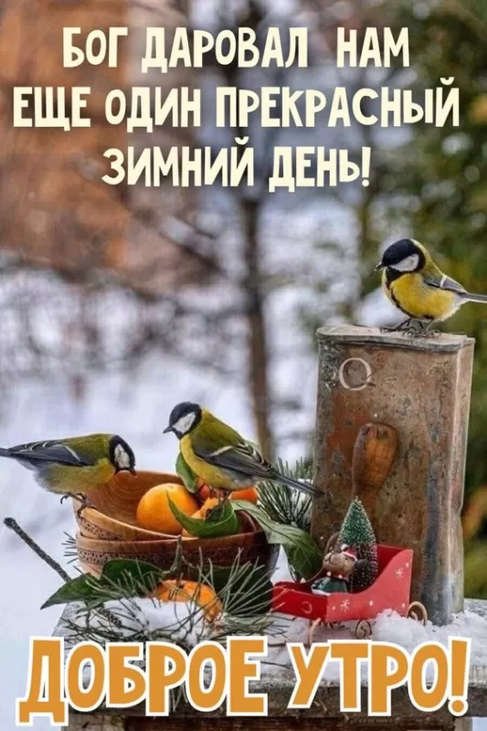 Зимние картинки Доброго утра и хорошего дня. Красивые картинки "Доброе утро и хорошего дня"