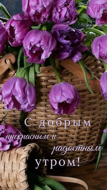 Красивые картинки с Добрым весенним утром. Красивые картинки с Добрым весенним утром 