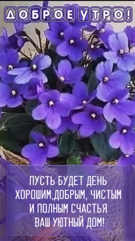 Красивые картинки с Добрым весенним утром. Красивые картинки с Добрым весенним утром 
