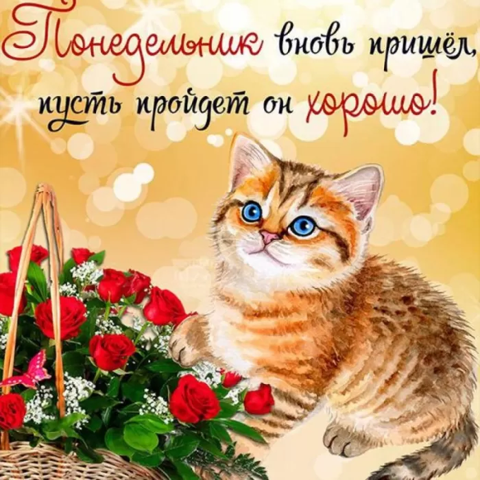 Картинки Доброе утро понедельника. С Добрым утром понедельника - картинки красивые