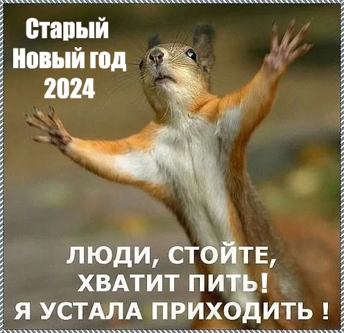 Картинки со Старым Новым годом. Прикольные картинки со Старым Новым годом