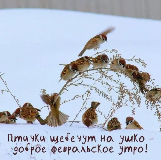 Картинки "Скоро весна" (80 штук). Скоро весна - картинки с пожеланиями