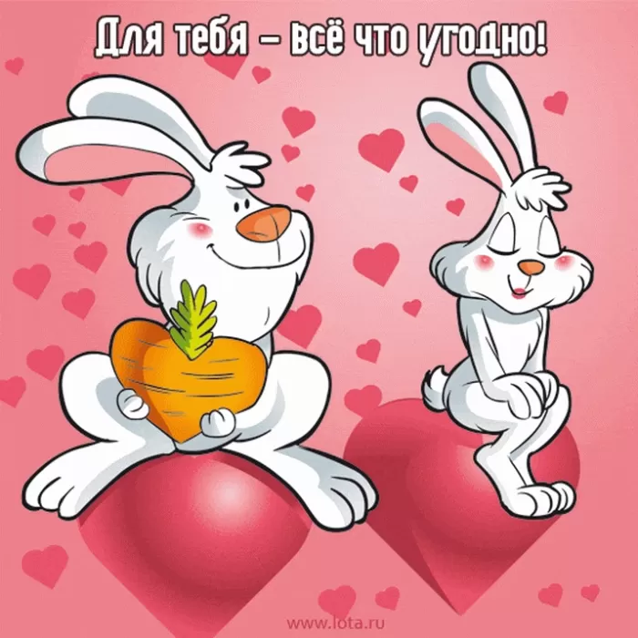 Прикольные картинки на День всех влюбленных. Прикольные картинки с Днем всех влюбленных 