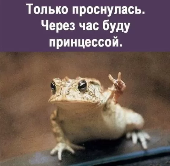 Картинки с Добрым утром прикольные и позитивные. Прикольные картинки Доброе утро