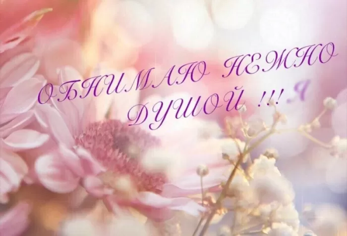 Красивые картинки с Днем нежности. Красивые картинки с Днем нежности