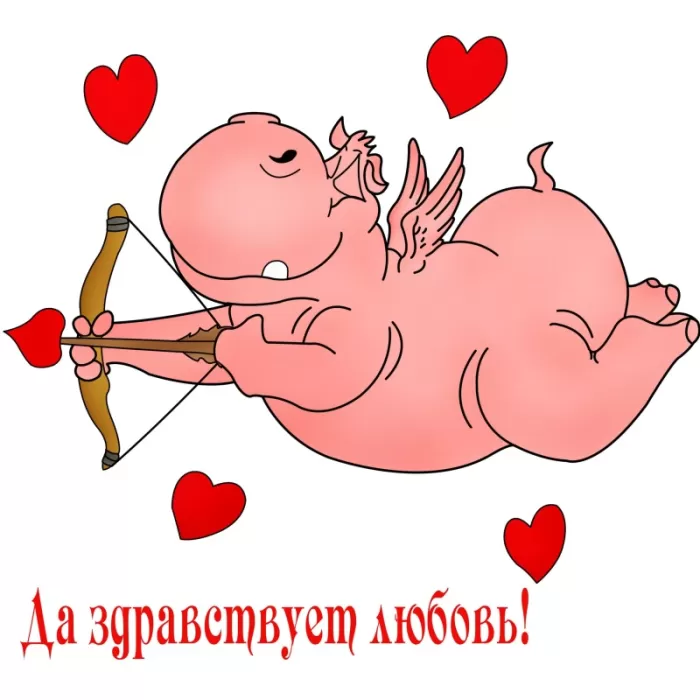 Прикольные картинки на День всех влюбленных. Прикольные картинки с Днем всех влюбленных 