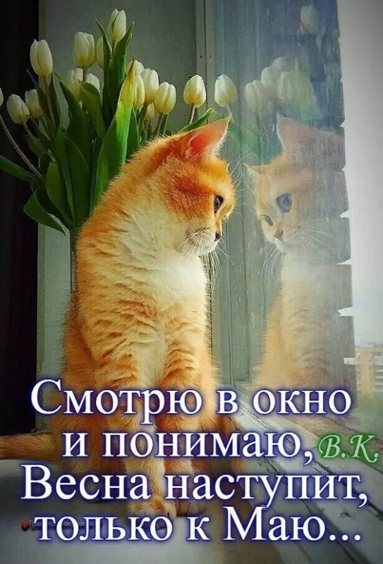 Картинки "Скоро весна" (80 штук). Прикольные картинки "Скоро весна"