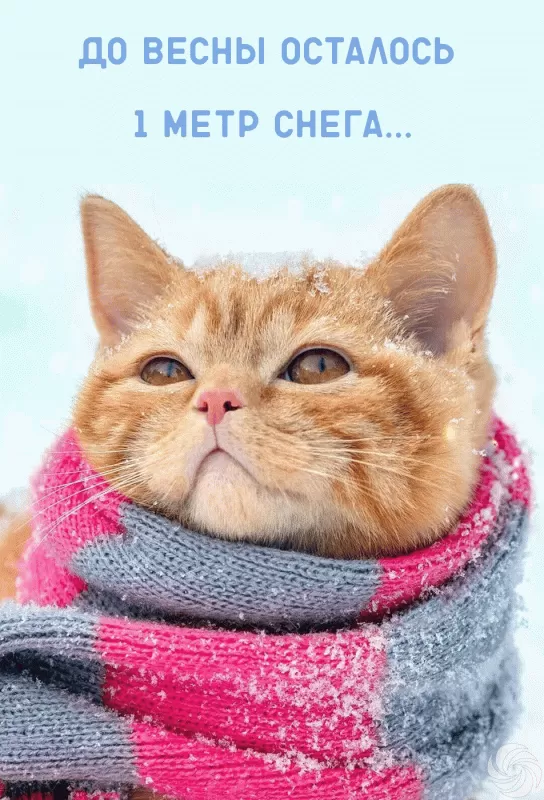 Картинки "Скоро весна" (80 штук). Красивые гифки "Скоро весна"