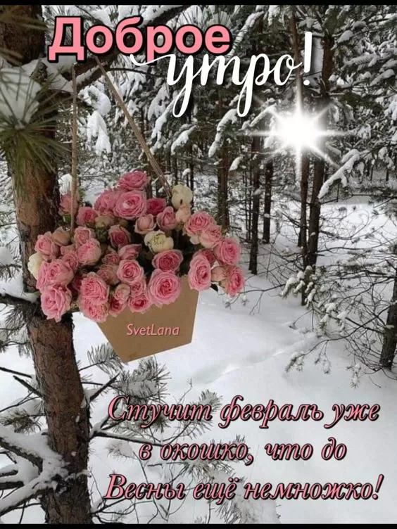 Картинки "Скоро весна" (80 штук). Скоро весна - картинки с пожеланиями