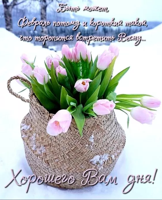 Картинки "Скоро весна" (80 штук). Скоро весна - картинки с пожеланиями