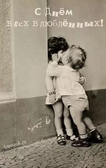 Прикольные картинки на 14 февраля