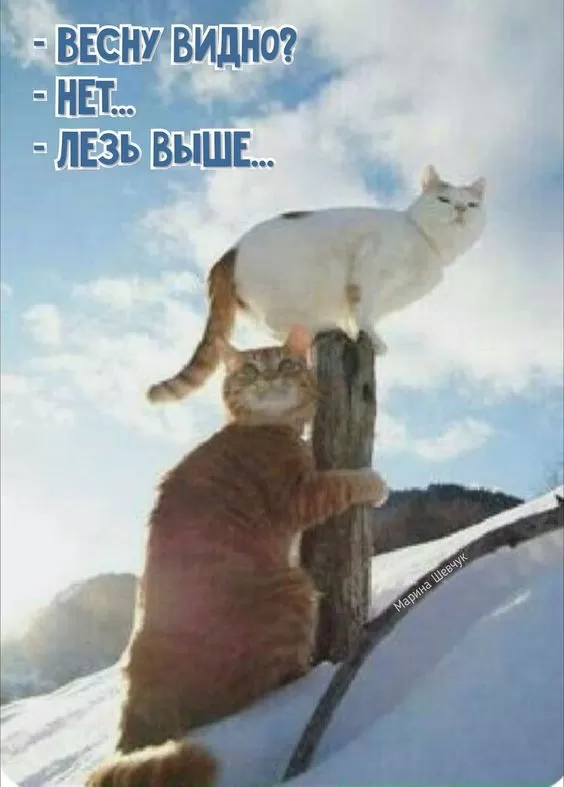 Картинки "Скоро весна" (80 штук). Прикольные картинки "Скоро весна"