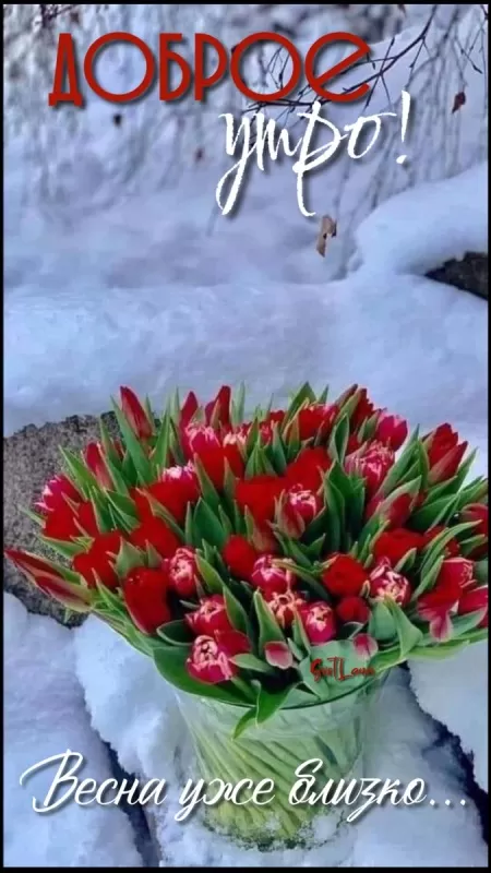 Картинки "Скоро весна" (80 штук). Скоро весна - картинки с пожеланиями