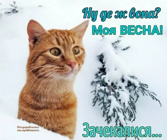 Картинки "Скоро весна" (80 штук). Скоро весна - картинки с пожеланиями